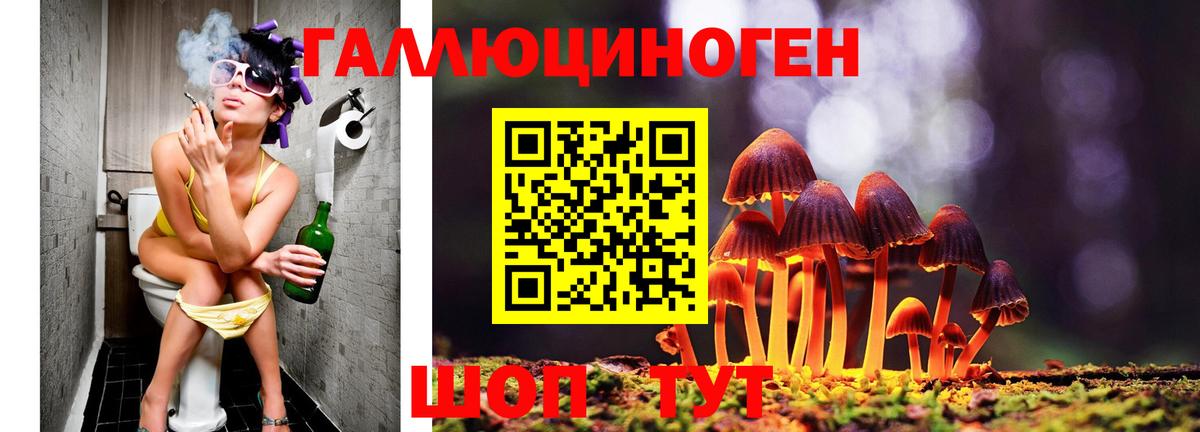 Галлюциногенные грибы мухоморы Чехов