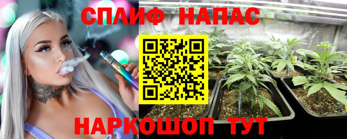 Чехов  Конопля сатива  Вход с VPN  Марихуана Amnesia  Марихуана Amnesia  Бошки марихуана THC 21% 